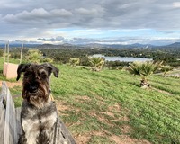 IMG_8671